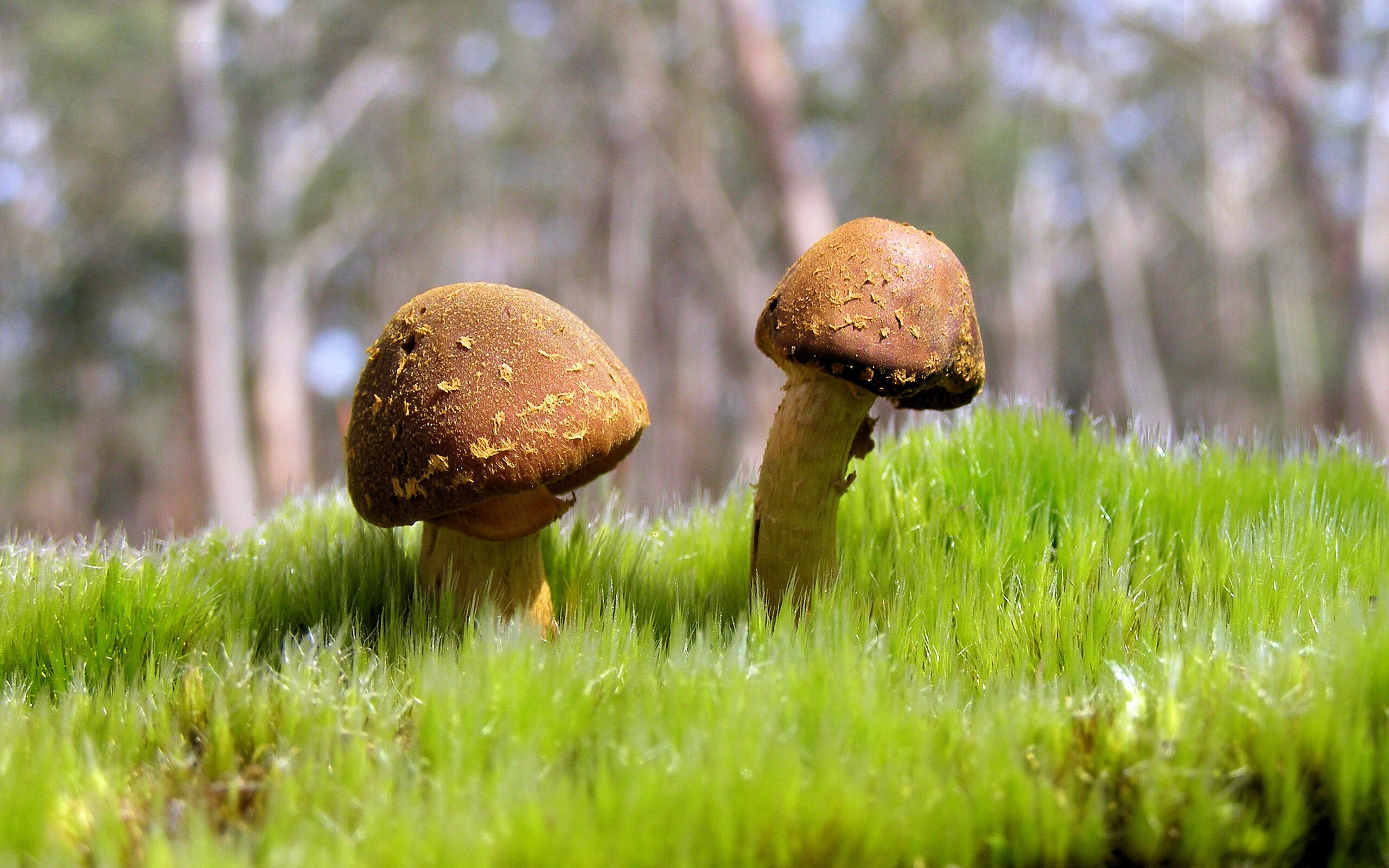 熊猫体育直播-体测标准调整引发专家学者热议，体测的标准是什么