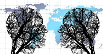 熊猫体育app官网-体育新闻中心协同多方建立体育内容风控机制，体育新闻机构