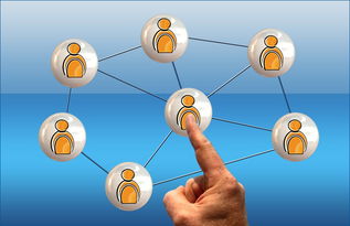 Panda Sports-体育新闻中心联合高校开展体育传媒创新创业大赛，体育产业创新创业大赛