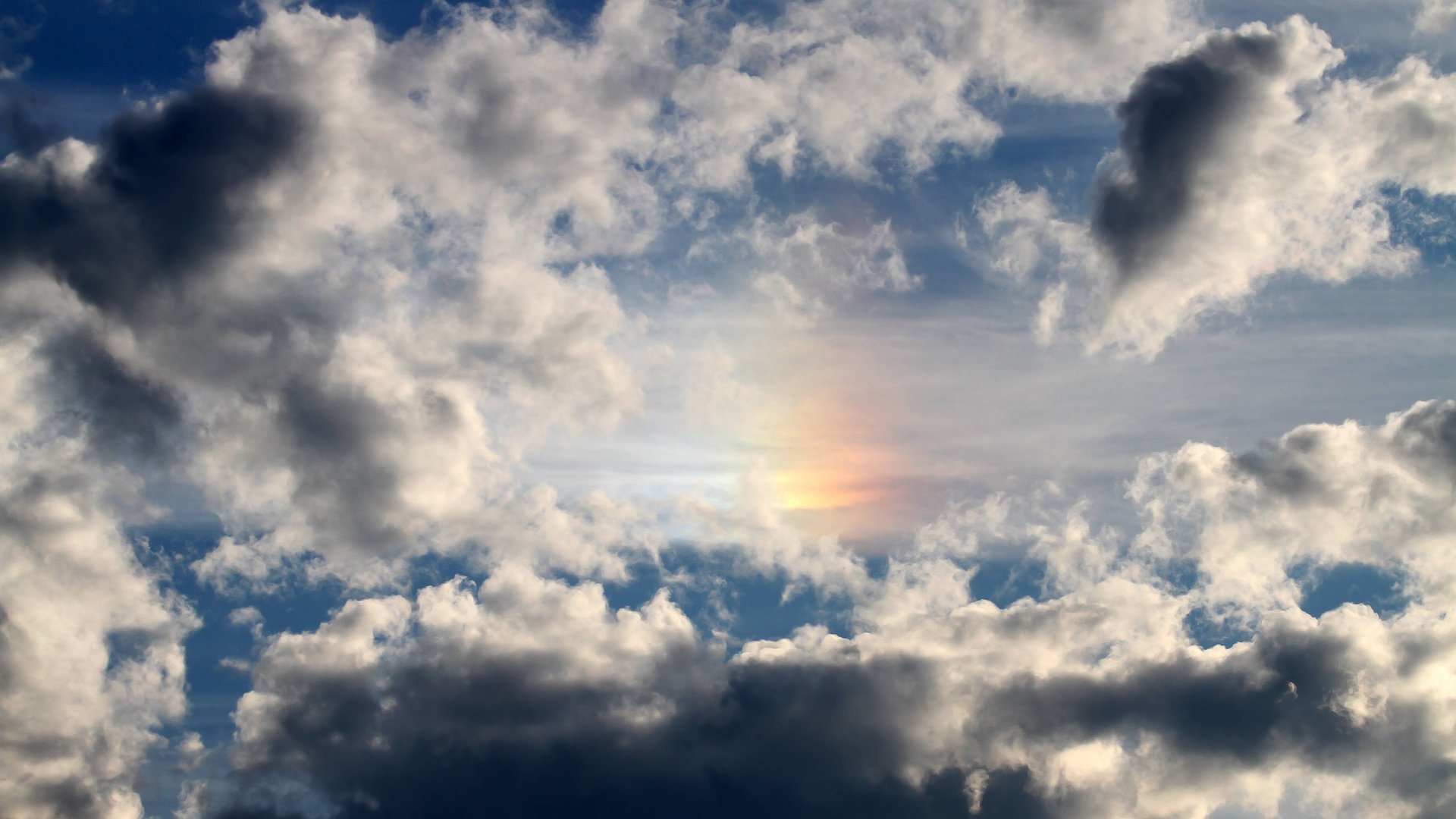 女子冰壶国家队训练营引入新战术模块，女子冰壶国家队名单