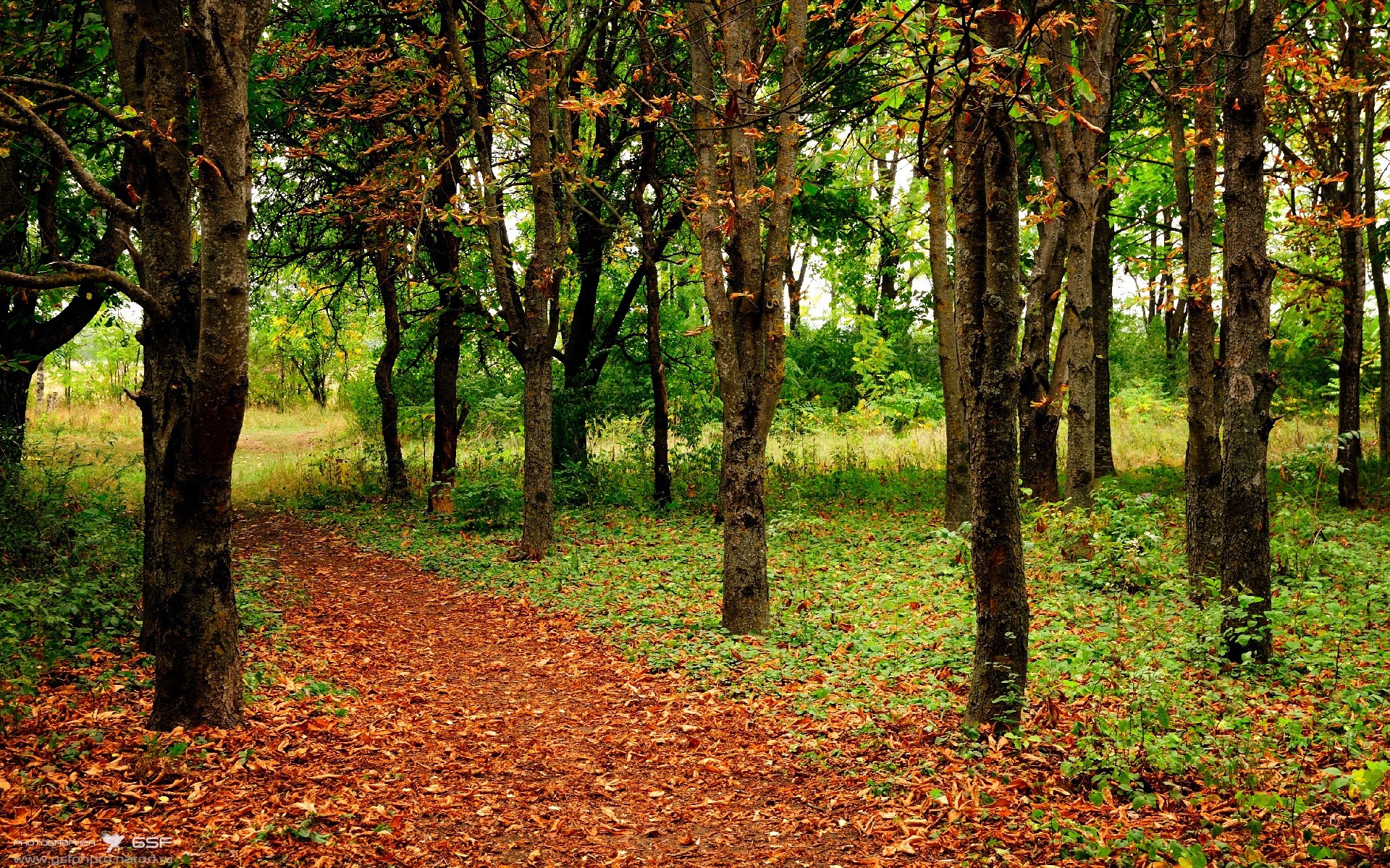 熊猫体育app下载-数据分析看谁是五大联赛最全面后卫，五大联赛最强队