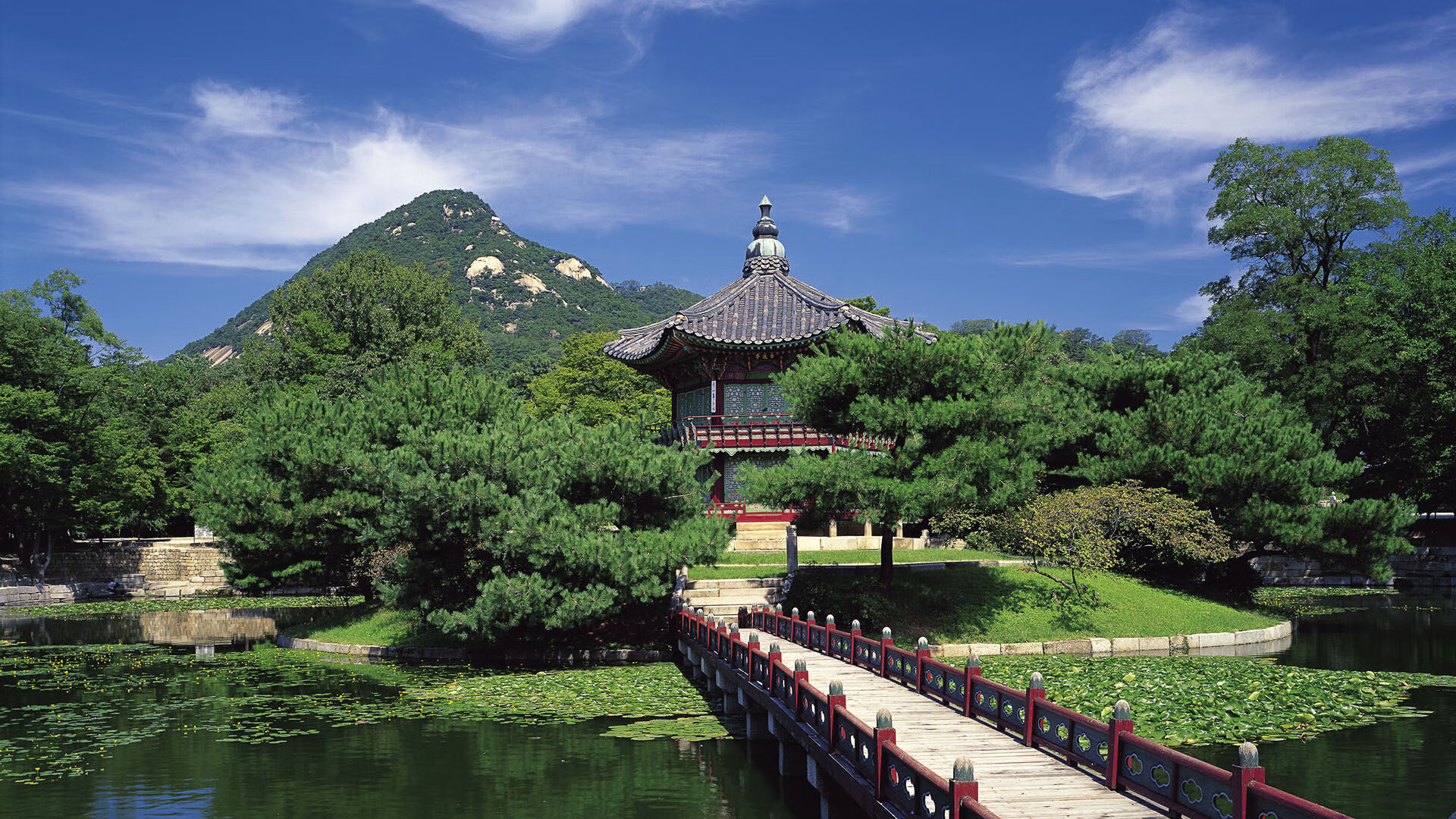 熊猫体育平台安全-替补边锋是否具备突破密集防守的关键属性，替补球员规则