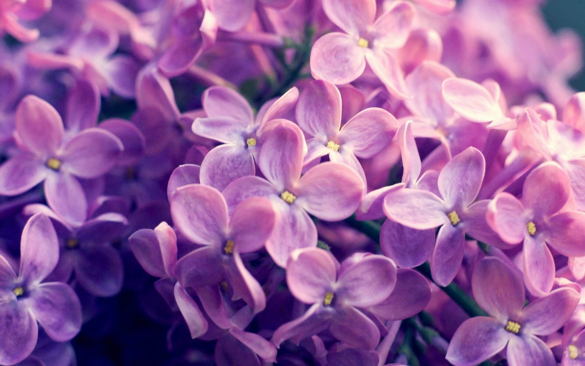 熊猫体育网址-科斯用坚韧精神征服赛场挑战