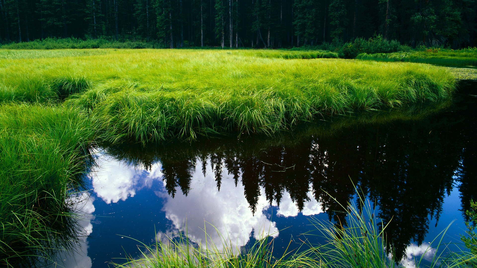 熊猫体育网站入口-训练日常曝光展示高强度拉练内容增强球队职业形象建设，球队拉力什么意思